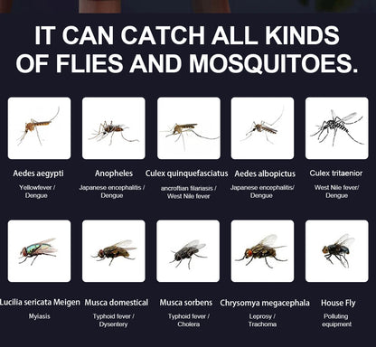 1 PC Electric Fly Bug Mosquito Insect Killer LED Light Trap Control Lamp Small Pest with USB Power Supply and Adapter